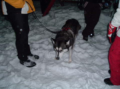 Ihm war es nicht zu kalt...