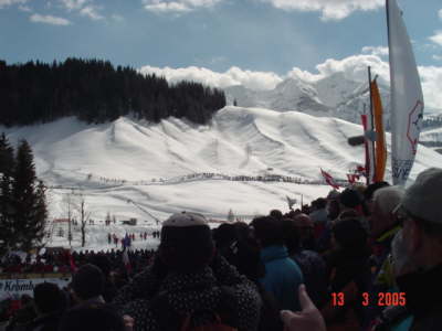 Traumhafte Winterlandschaft